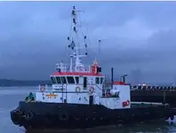 ટોવબોટ વેચાણ માટે