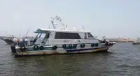 પાયલોટ બોટ વેચાણ માટે