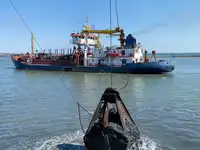 ડ્રેજર વેચાણ માટે