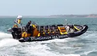 કઠોર ઇન્ફ્લેટેબલ બોટ વેચાણ માટે