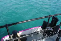 General Cargo/Multi-purpose વેચાણ માટે