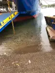 રો-રો જહાજ વેચાણ માટે