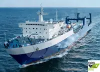 Ro-Ro ship વેચાણ માટે