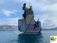 Ro-Ro ship વેચાણ માટે