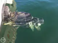 ટ્રોલર વેચાણ માટે
