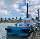ટોબોટ વેચાણ માટે