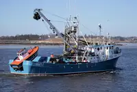 Purse seiner વેચાણ માટે