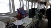 લોંગલાઇનર વેચાણ માટે
