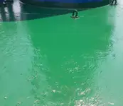 બલ્ક કેરિયર વેચાણ માટે