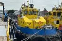ટોવબોટ વેચાણ માટે