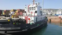 ટોવબોટ વેચાણ માટે