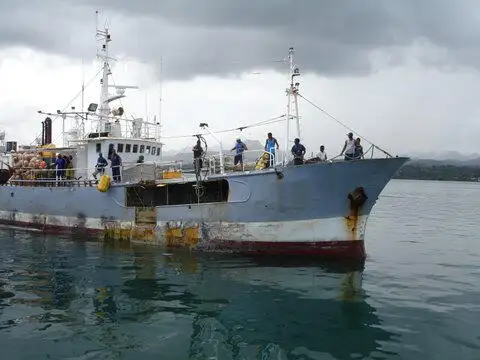 લોંગલાઇનર વેચાણ માટે