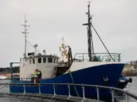 Trawler વેચાણ માટે
