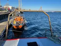વર્ક બોટ વેચાણ માટે