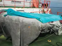 ટોબોટ વેચાણ માટે