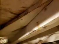 ફેરી જહાજ વેચાણ માટે