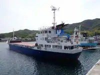 બલ્ક કેરિયર વેચાણ માટે