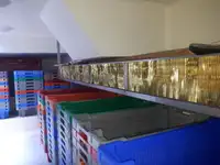ટ્રોલર વેચાણ માટે