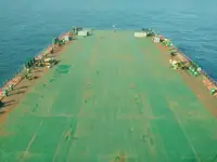 બલ્ક કેરિયર વેચાણ માટે