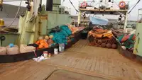 ટ્રોલર વેચાણ માટે