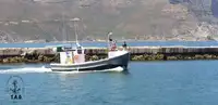 ટ્રોલર વેચાણ માટે