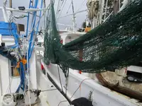 ટ્રોલર વેચાણ માટે