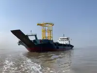 બલ્ક કેરિયર વેચાણ માટે