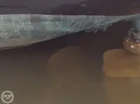 ટોબોટ વેચાણ માટે