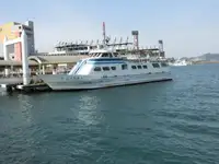 મુસાફર જહાજ વેચાણ માટે