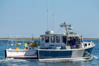 Purse seiner વેચાણ માટે
