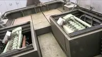 ટોબોટ વેચાણ માટે