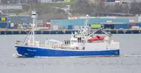 Purse seiner વેચાણ માટે