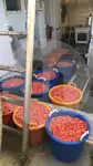 બીમ ટ્રોલર વેચાણ માટે