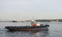 વર્ક બોટ વેચાણ માટે