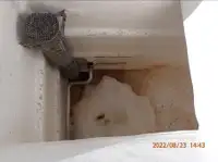 પર્સ સીનર વેચાણ માટે