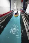 ટોબોટ વેચાણ માટે