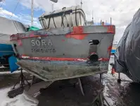 વર્ક બોટ વેચાણ માટે