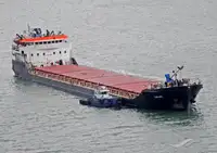 બલ્ક કેરિયર વેચાણ માટે