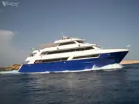ડાઇવ સપોર્ટ વેચાણ માટે