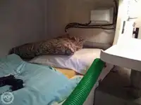 કટર વેચાણ માટે