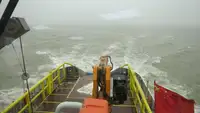 ટોબોટ વેચાણ માટે