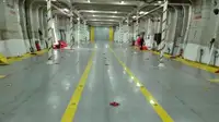 Ro-Ro ship વેચાણ માટે
