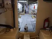 General Cargo/Multi-purpose વેચાણ માટે
