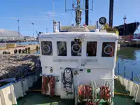 ટોબોટ વેચાણ માટે