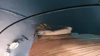 ટોબોટ વેચાણ માટે