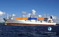 રીફર જહાજ વેચાણ માટે