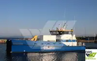 Wind farm service vessel વેચાણ માટે