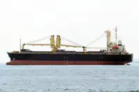 બલ્ક કેરિયર વેચાણ માટે