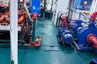 ફેરી જહાજ વેચાણ માટે