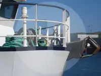 ટ્રોલર વેચાણ માટે